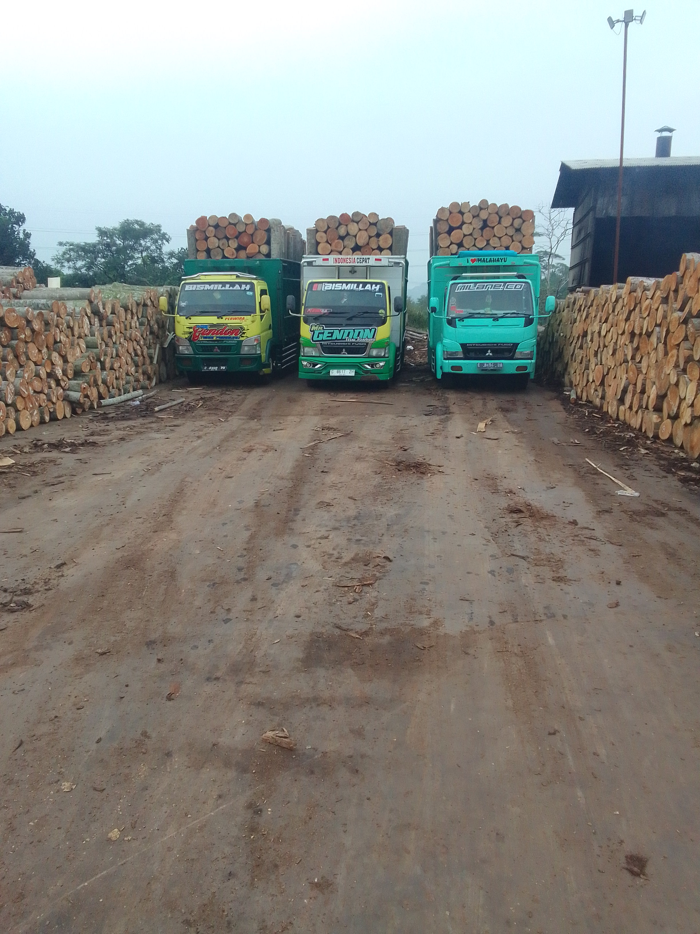 Persiapan armada truk Nagili Transport sebelum berangkat mengangkut kayu gelondongan, dilengkapi pengecekan sasis dan sistem pengikatan